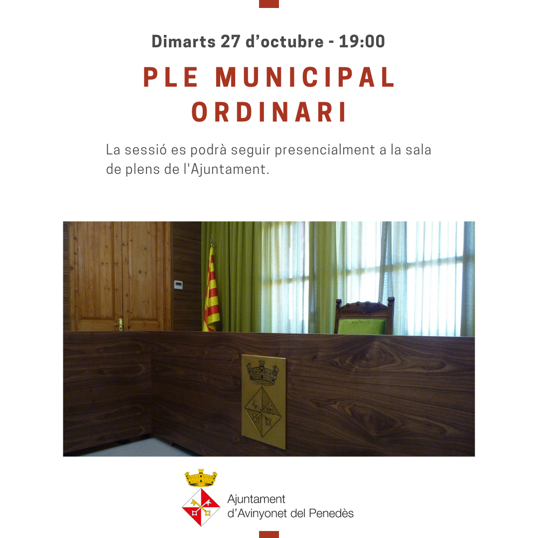 Ple municipal ordinari