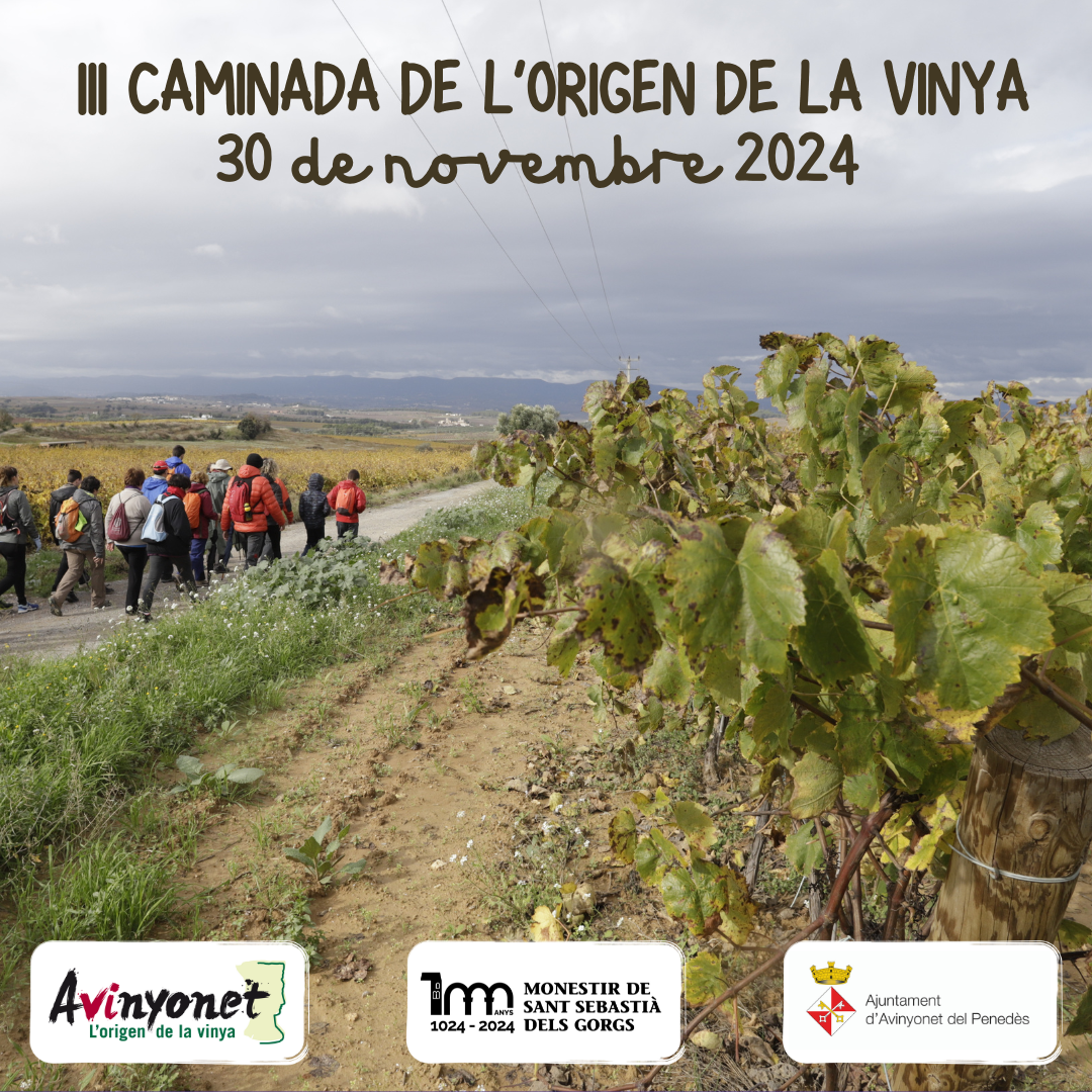 III Caminada de l??origen de la vinya