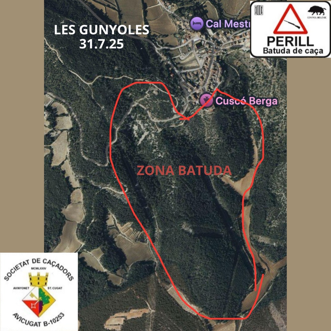 Batuda del senglar (Les Gunyoles)