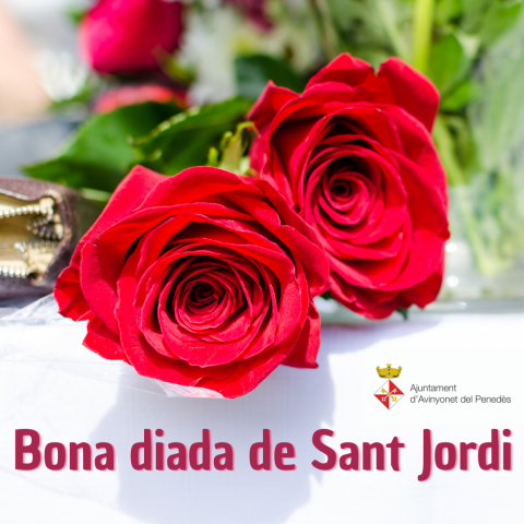 Bona diada de Sant Jordi