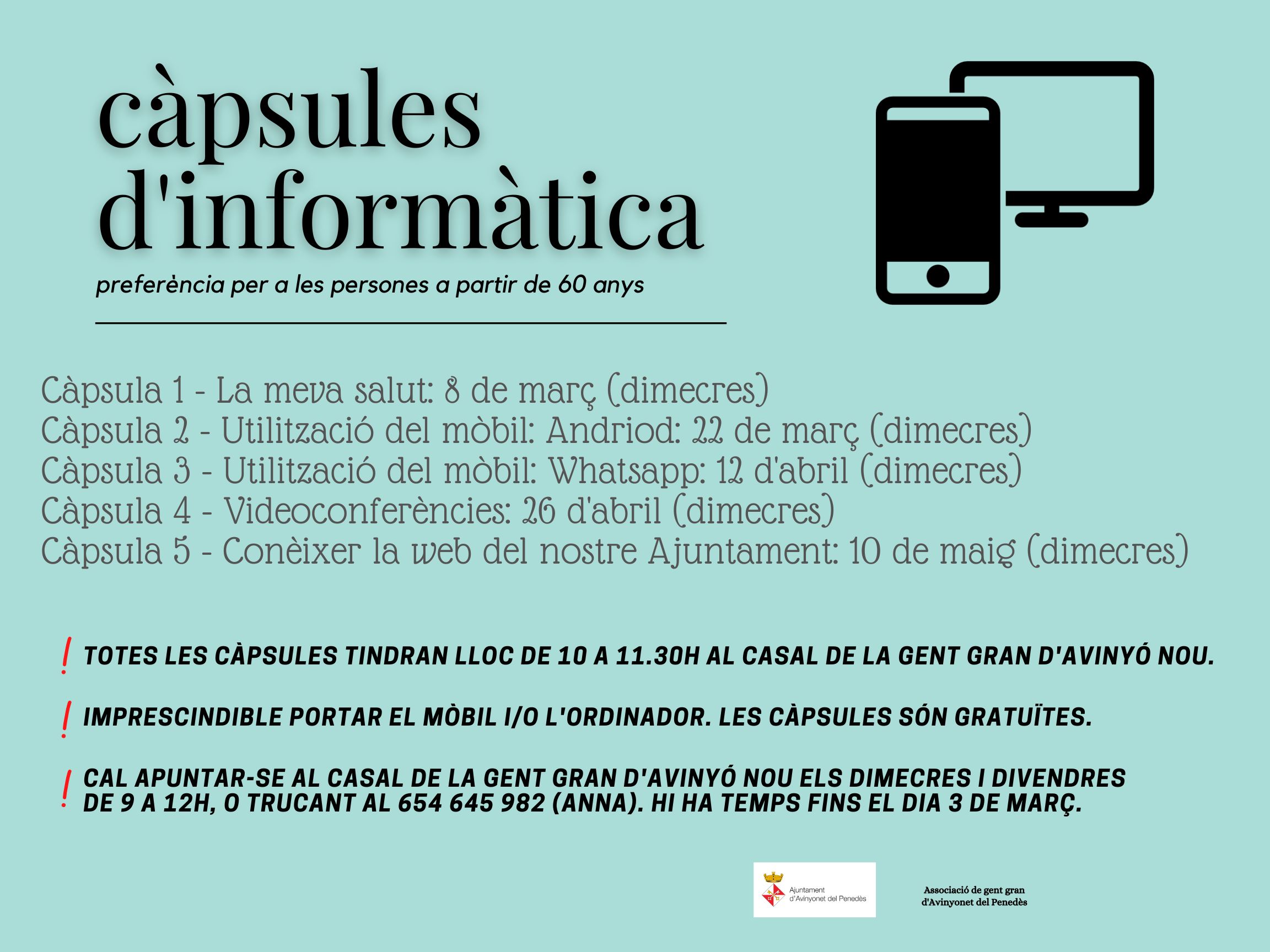 Càpsules d'informàtica