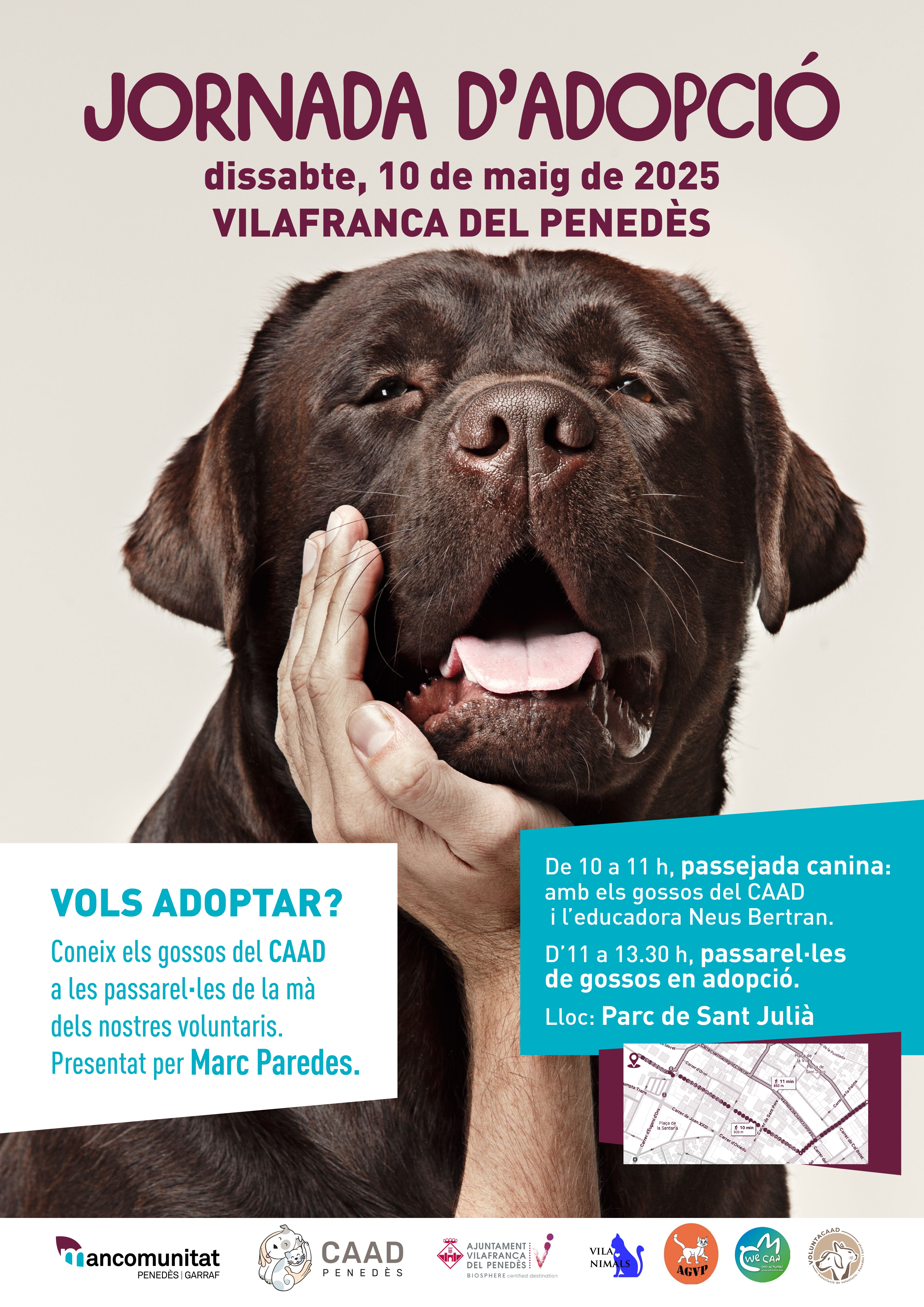 El CAAD Penedès organitza una passarel·la d'adopció de gossos a Vilafranca del Penedès