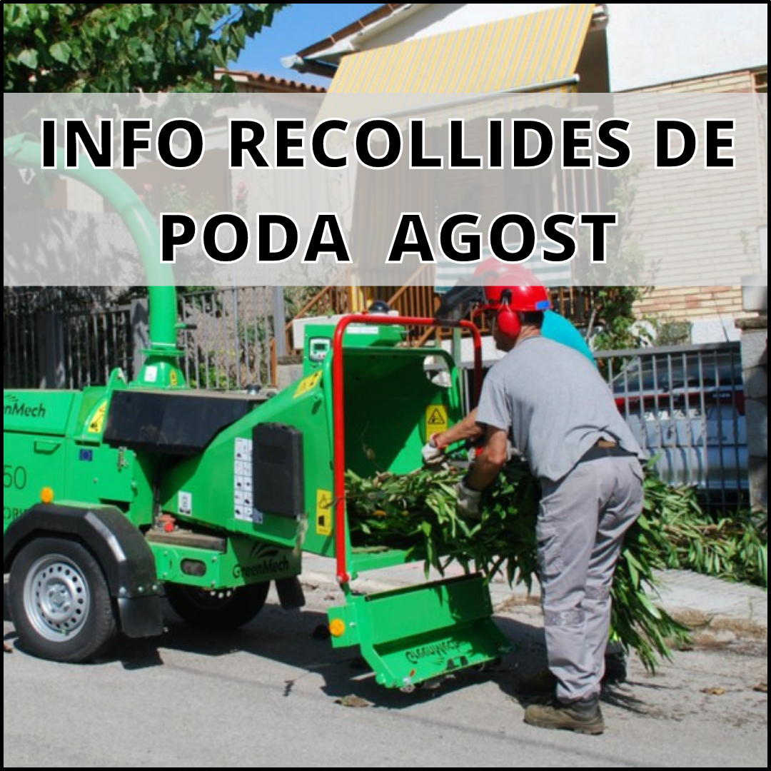 Recollia de poda mes d'agost