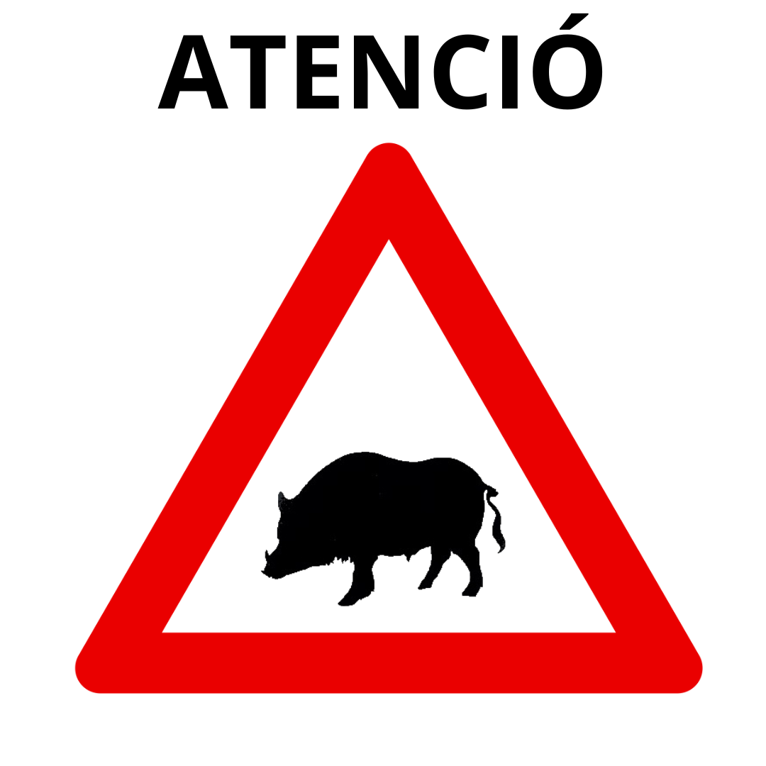 Avís batuda del senglar 16 de març