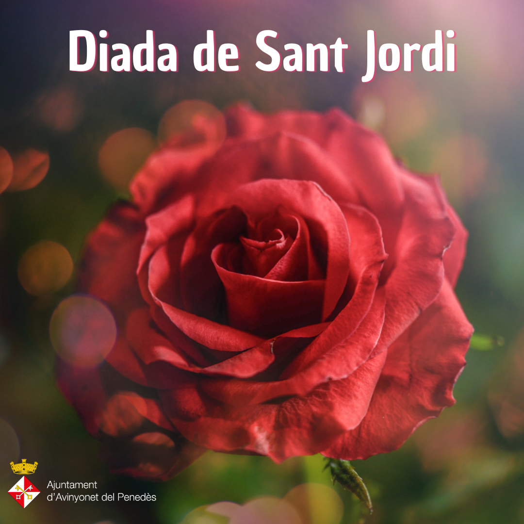 Bona diada de Sant Jordi