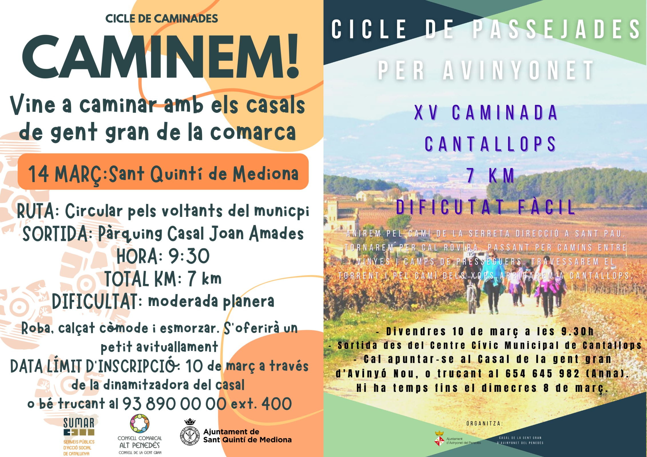 Caminades per a la gent gran