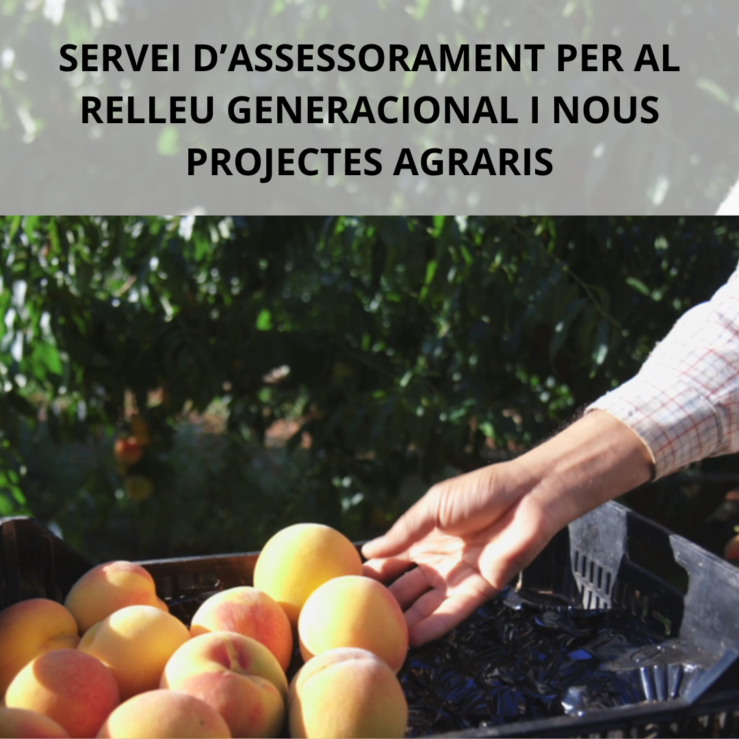 El CCAP impulsa un servei d'assessorament per al relleu generacional i nous projectes agraris